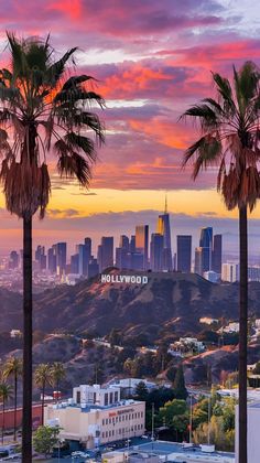 Los Angeles Activities